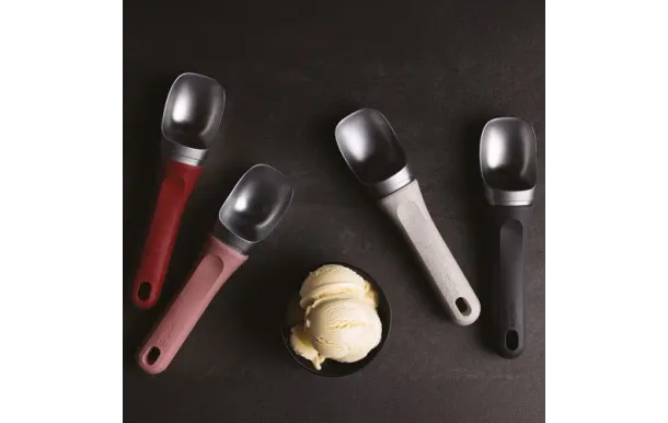 ZYLISS DISPLAY DE 12 102689